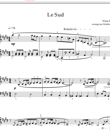 Le Sud  - Nino Ferrer (arrangement)